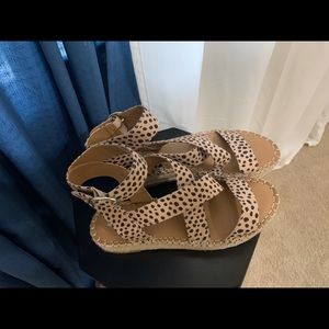 Cheetah platforms